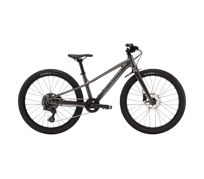 BICICLETA RIPROCK 24