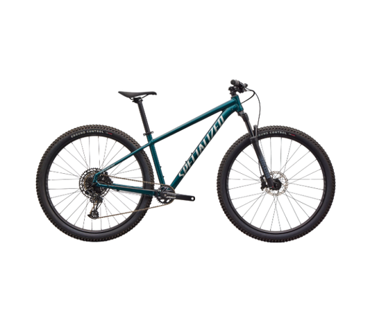 BICICLETA ROCKHOPPER EXPERT