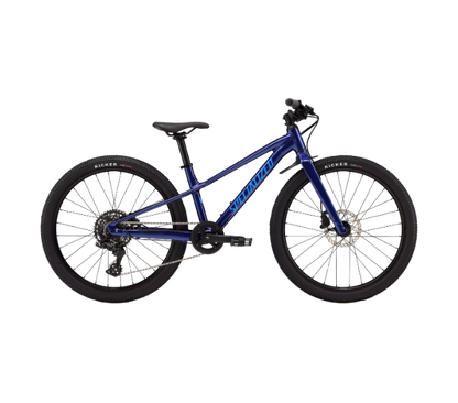BICICLETA RIPROCK 24