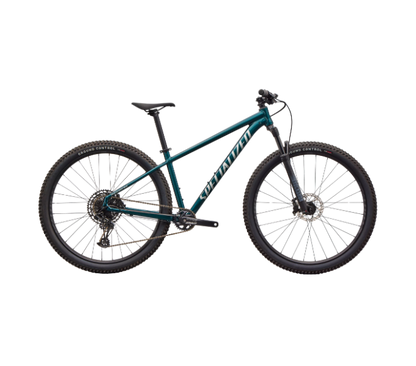 BICICLETA ROCKHOPPER EXPERT