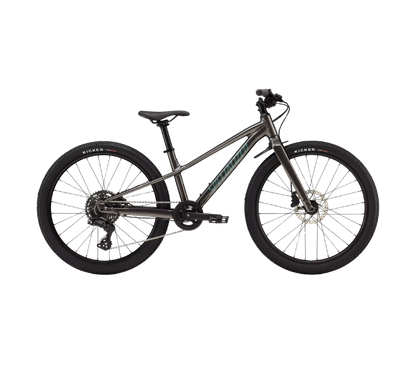 BICICLETA RIPROCK 24